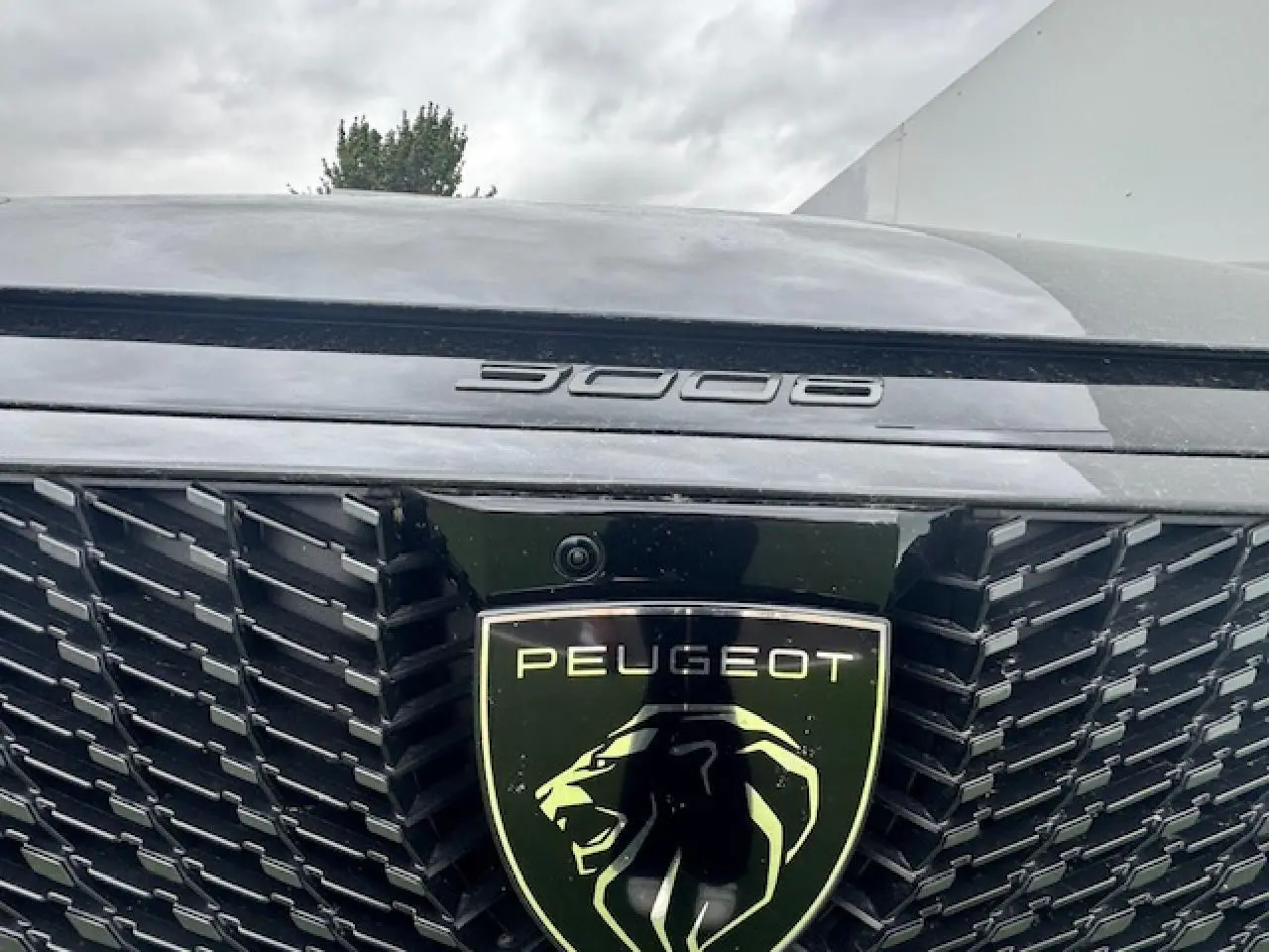 Gros plan sur la calandre noire et le logo lion du Peugeot 3008 gris titane, détail du lettrage 3008 sur le capot.