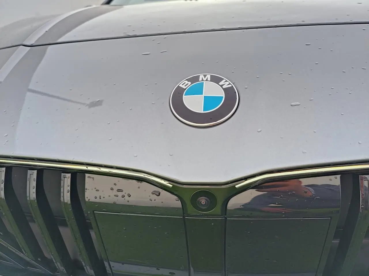 Gros plan sur la calandre noire et le capot gris Skyscraper d'une BMW Série 1 M Sport avec logo BMW visible.