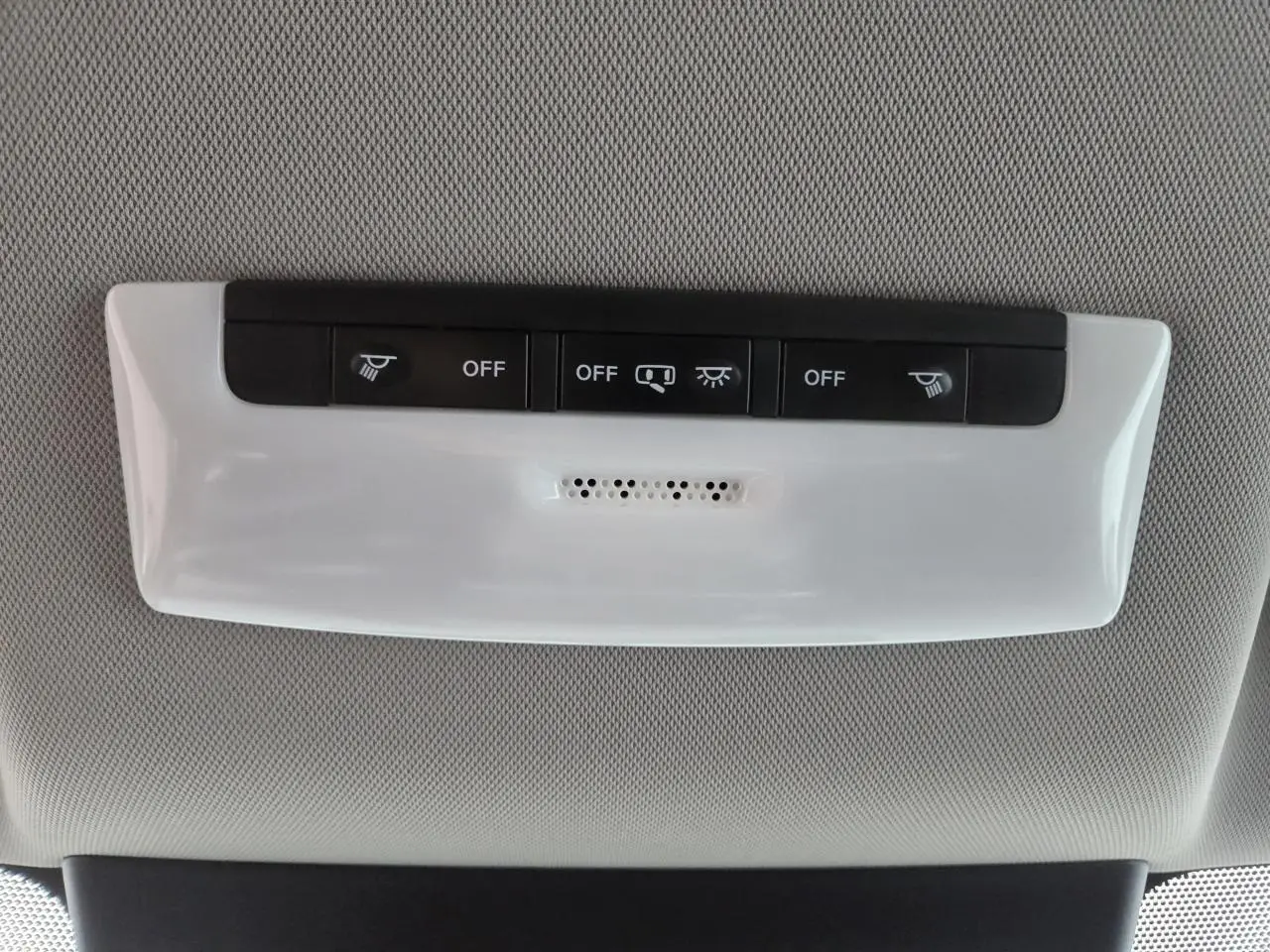 Détail du plafonnier intérieur avec commandes d’éclairage dans une Nissan Leaf II gris foncé métallisé, vue de dessous.