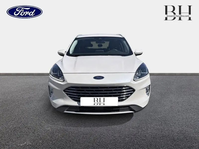 Vue frontale d'un Ford Kuga blanc Glacier 2023 avec calandre large et phares LED distinctifs.