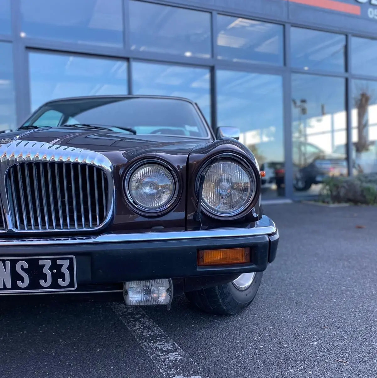 Vue de face rapprochée d'une Jaguar XJ6 Série 3 4.2 Sovereign marron avec calandre chromée et phares ronds.