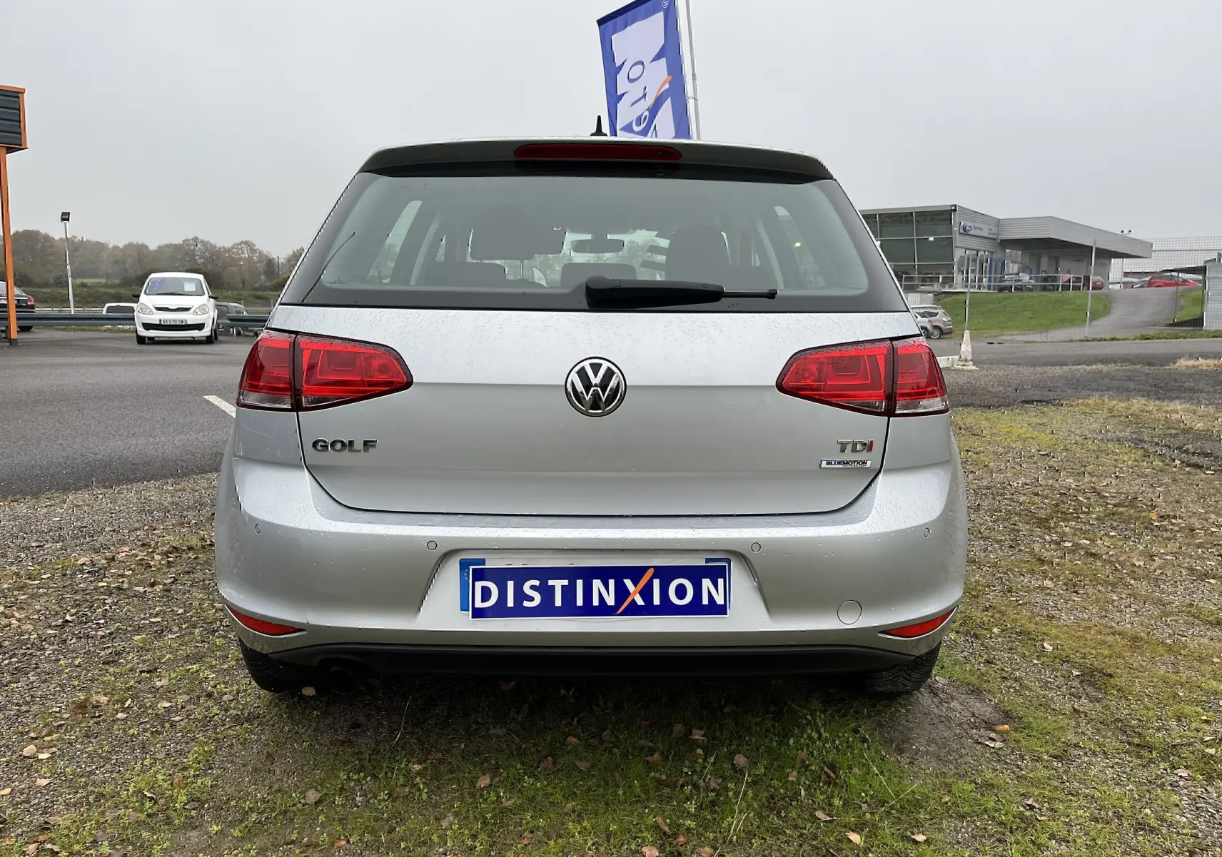 Vue arrière d'une Volkswagen Golf 7 argentée, avec badges Golf et TDI visibles, stationnée sur un sol herbeux.