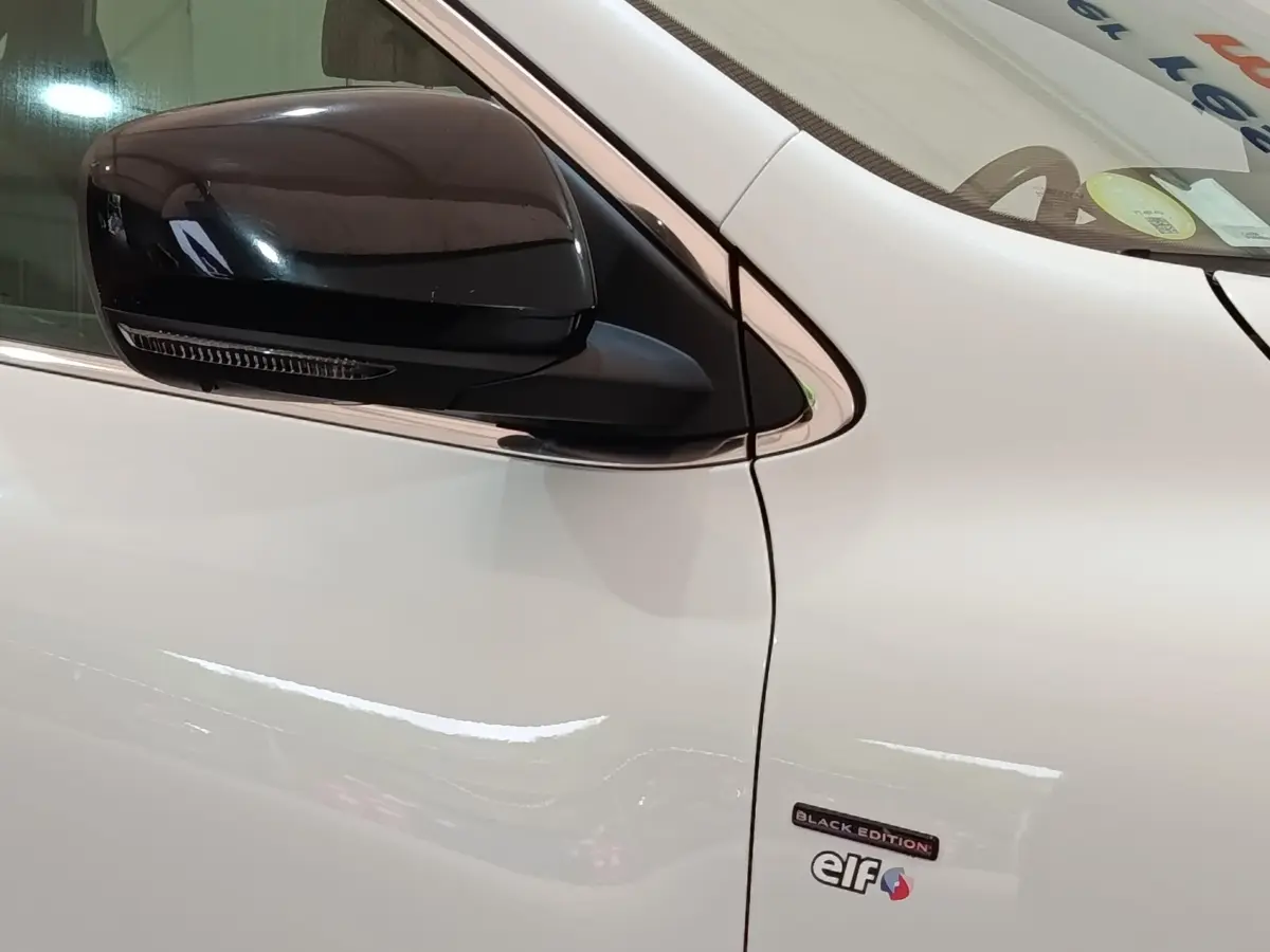 Détail du rétroviseur noir et de la portière blanche côté conducteur du Renault Kadjar Black Edition 2020.
