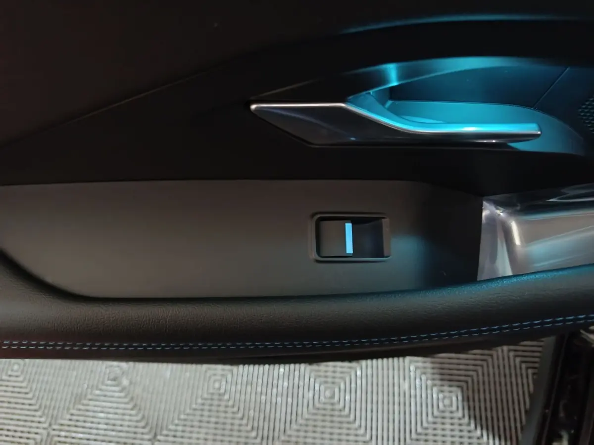 Détail de la poignée intérieure et commande de vitre côté gauche du Jaguar E-PACE noir, version 2019.