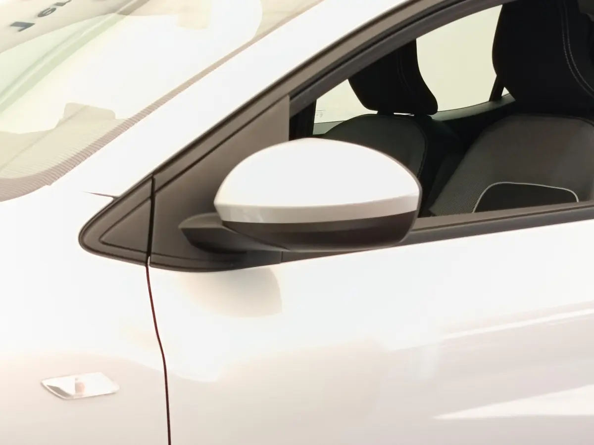 Détail du rétroviseur côté gauche gris clair de la Dacia Sandero Expression EGO-G 100 vue de profil intérieur.
