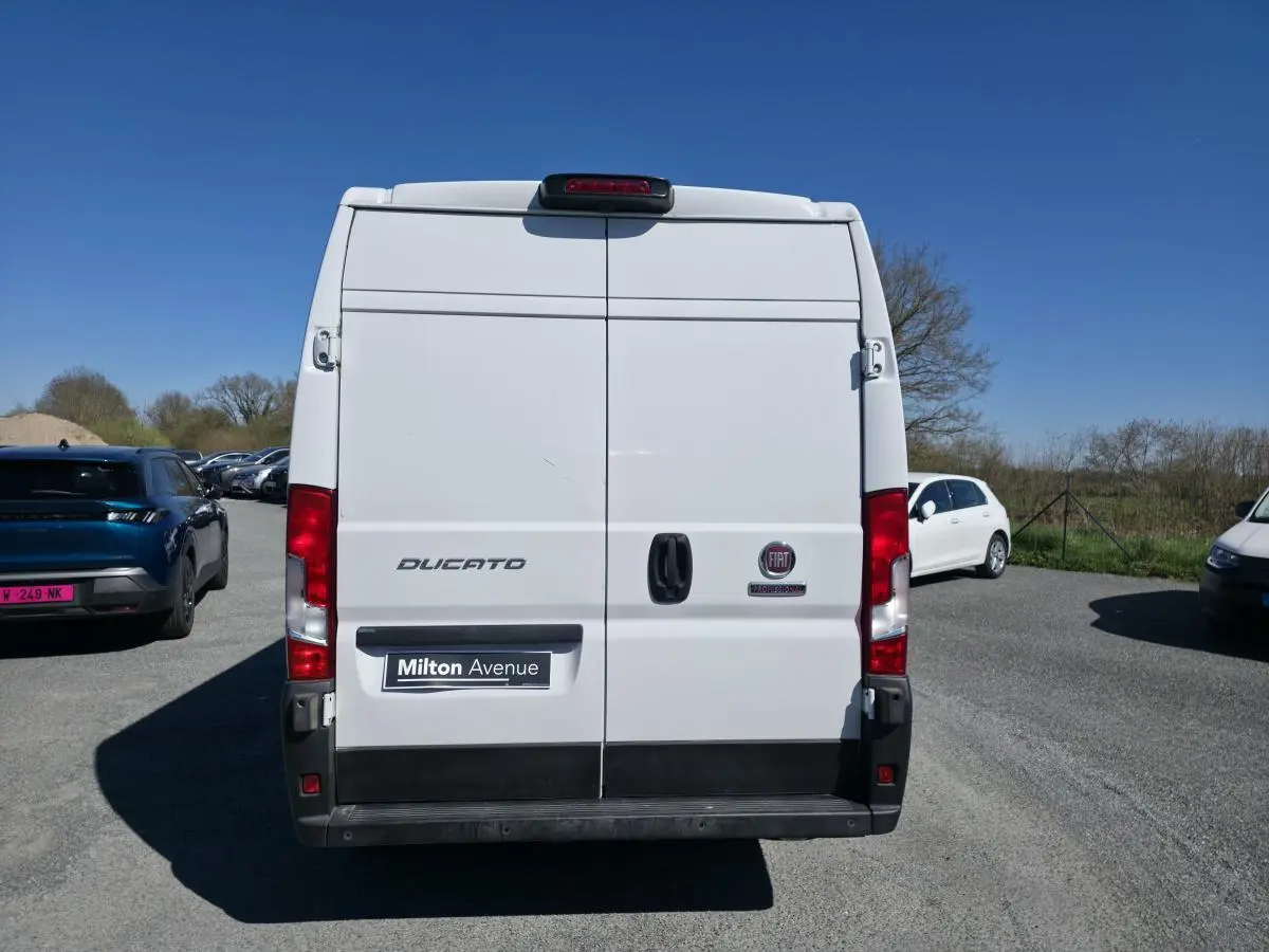 Vue arrière du FIAT Ducato Fourgon blanc, portes battantes fermées, avec logo et plaque Milton Avenue visible.
