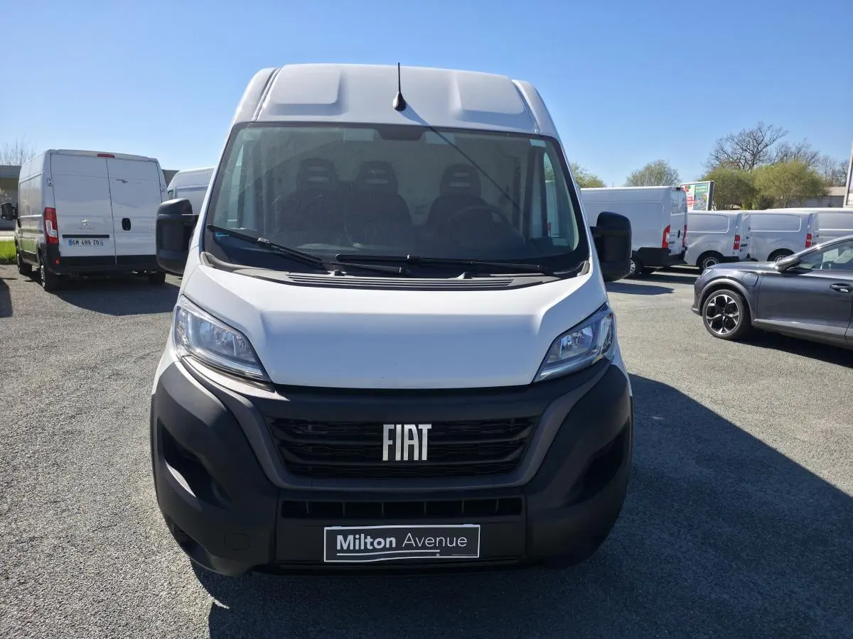 Vue de face d'un fourgon FIAT Ducato blanc avec calandre noire et plaque Milton Avenue, stationné en extérieur.