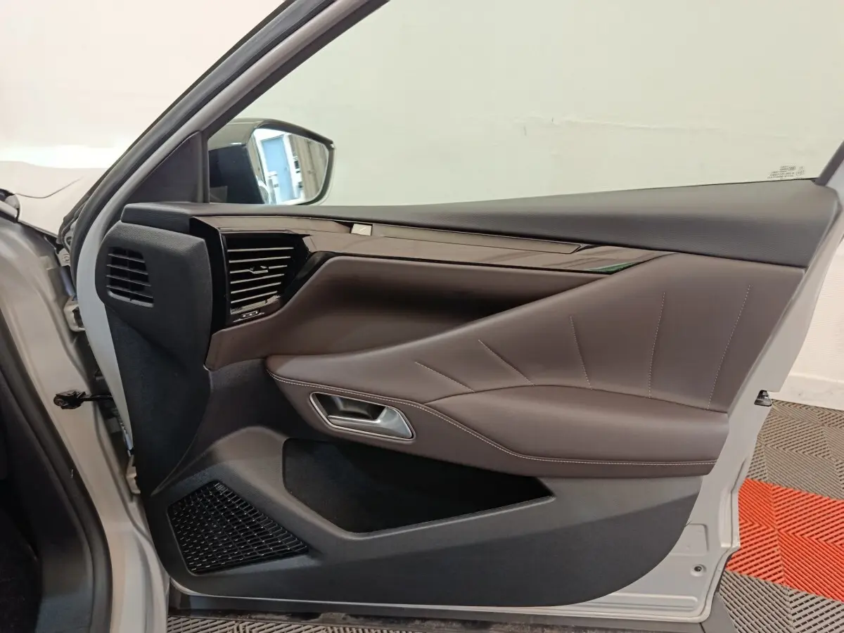 Vue côté gauche de la porte avant grise claire du DS4 E-TENSE avec garniture intérieure marron et détails noirs brillants.
