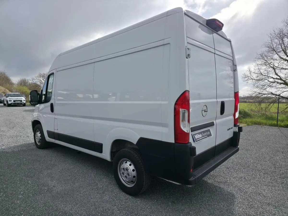 Opel Movano Fourgon blanc vu en 3/4 arrière droit, portes battantes arrière et jantes tôles grises visibles.