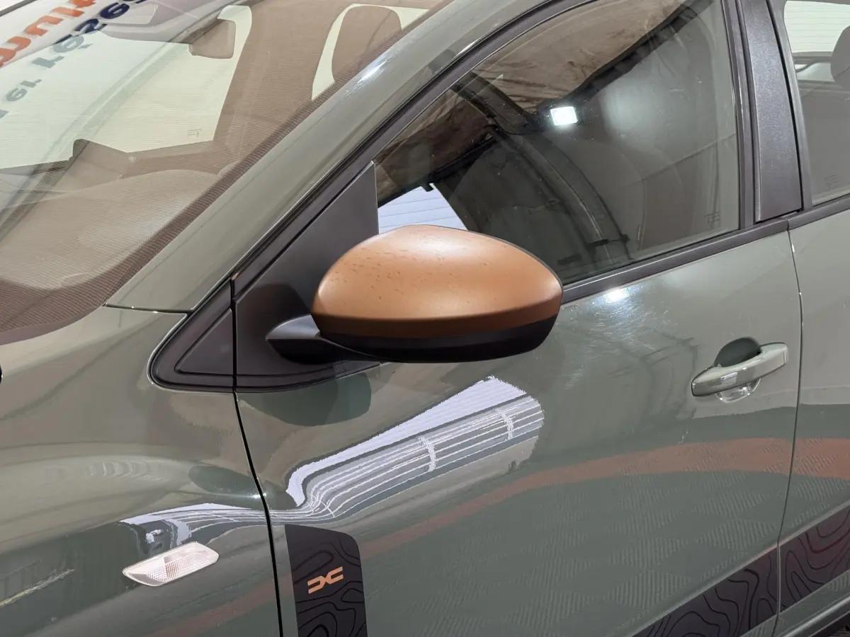 Gros plan sur le côté gauche vert d’une Dacia Sandero Extreme+ 2024 avec rétroviseur marron et poignée de porte visible.