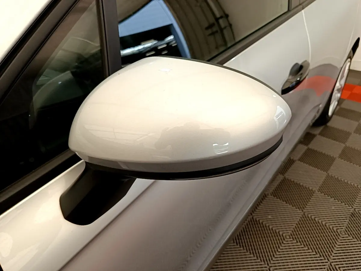 Rétroviseur côté gauche gris clair de la Renault Clio Business TCe 100 2020 avec porte et vitre partiellement visibles.
