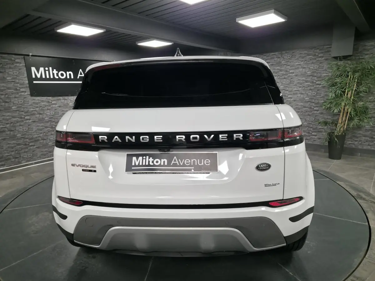 Vue arrière d'un Range Rover Evoque blanc avec logo noir et feux arrière étirés en intérieur showroom.