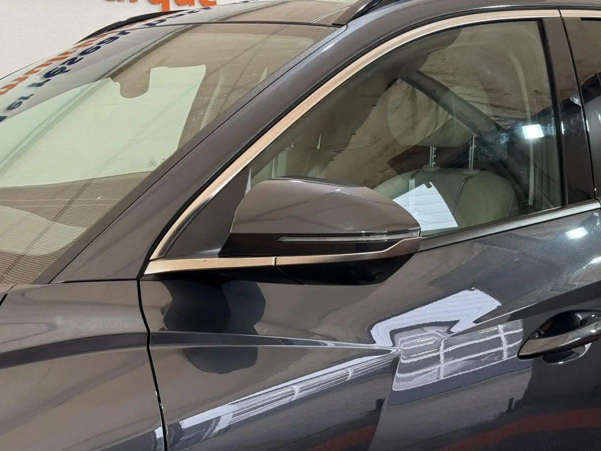 Vue rapprochée du côté gauche gris foncé du Hyundai Tucson 1.6 Hybrid 230 Executive avec rétroviseur intégré.