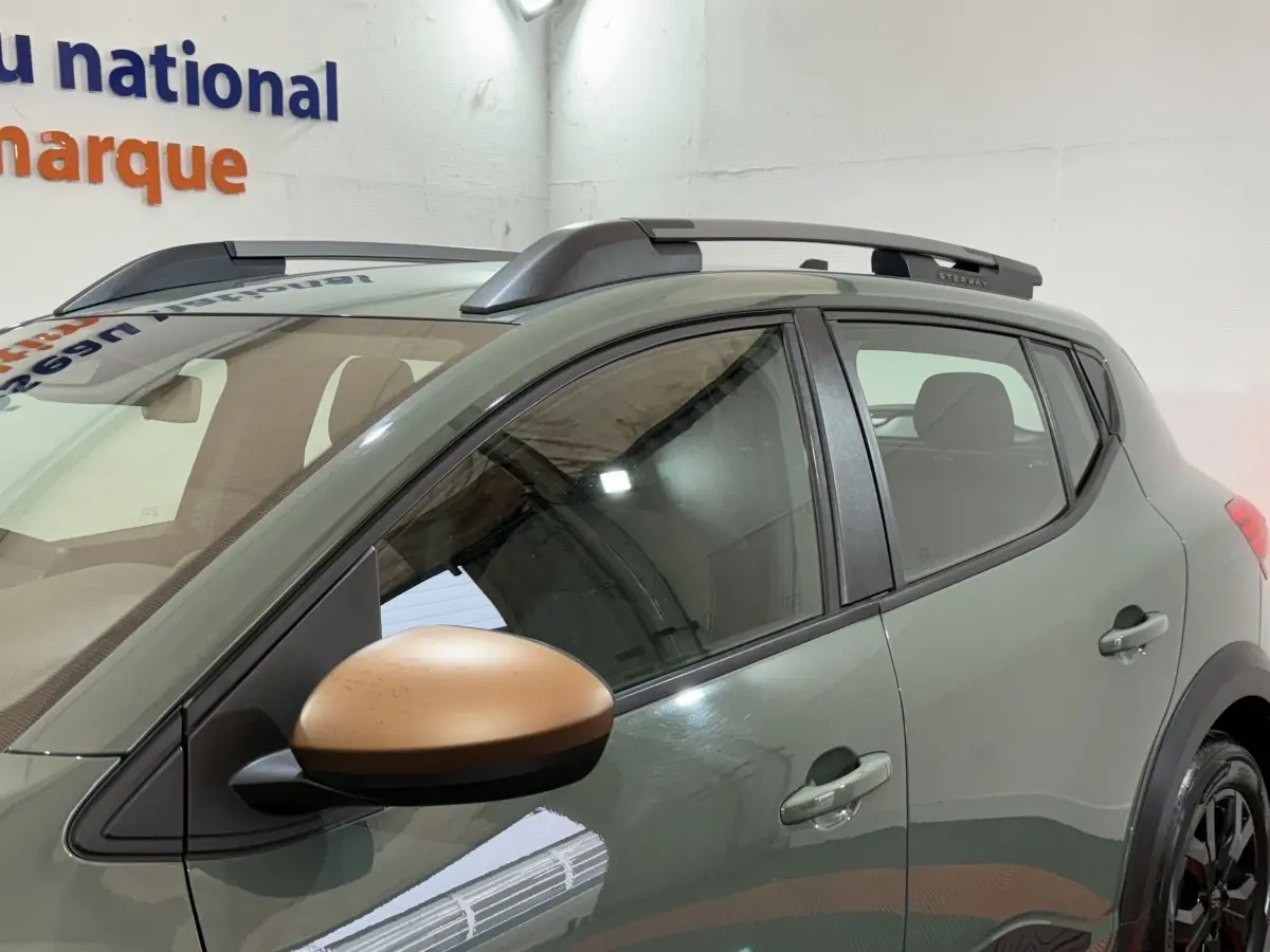 Vue latérale gauche d'une Dacia Sandero Extreme+ 2024 vert avec rétroviseur couleur bronze et barres de toit grises.