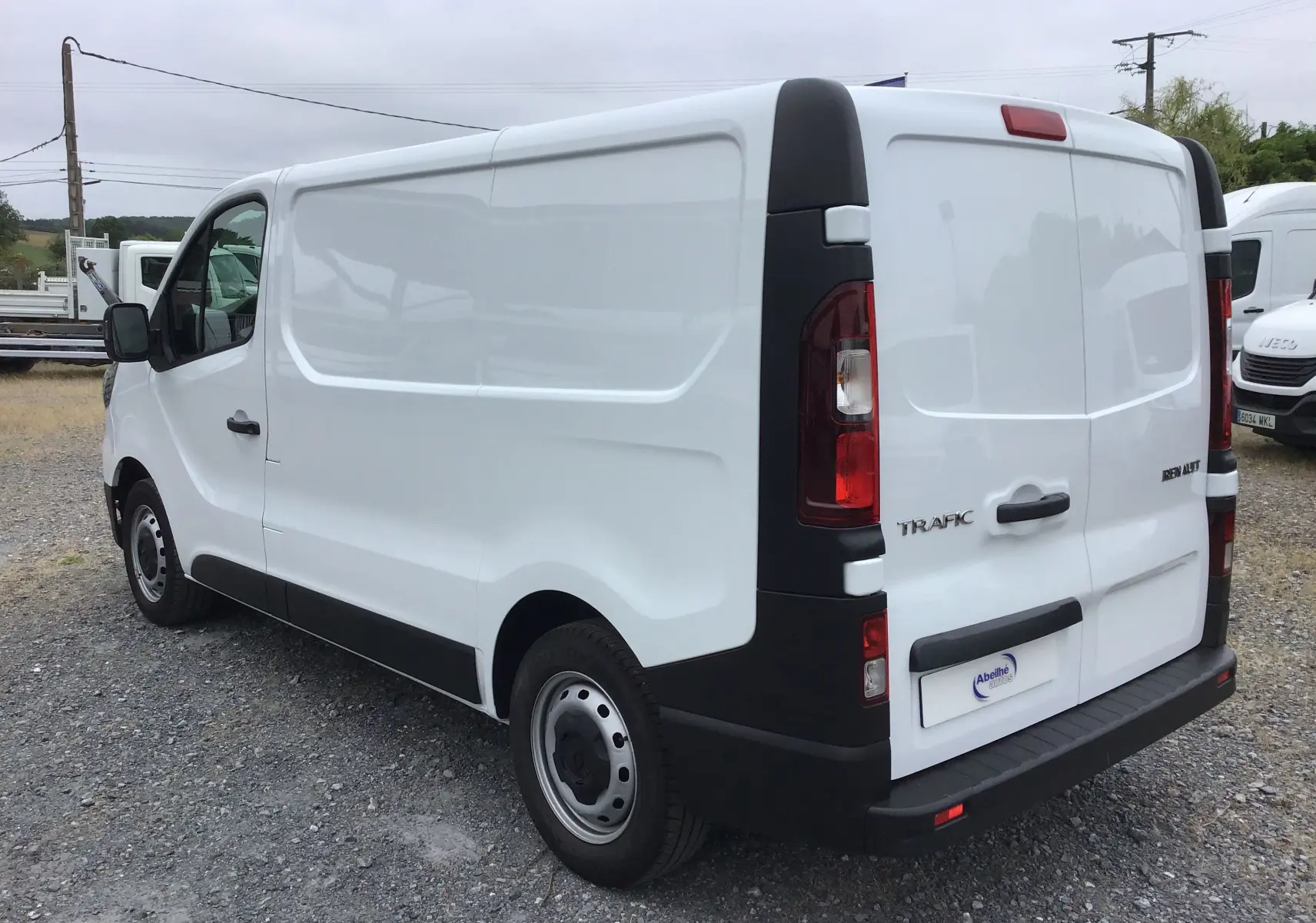 Vue 3/4 arrière droite d’un Renault Trafic Fourgon blanc 2024 avec portes arrière battantes et protections noires.