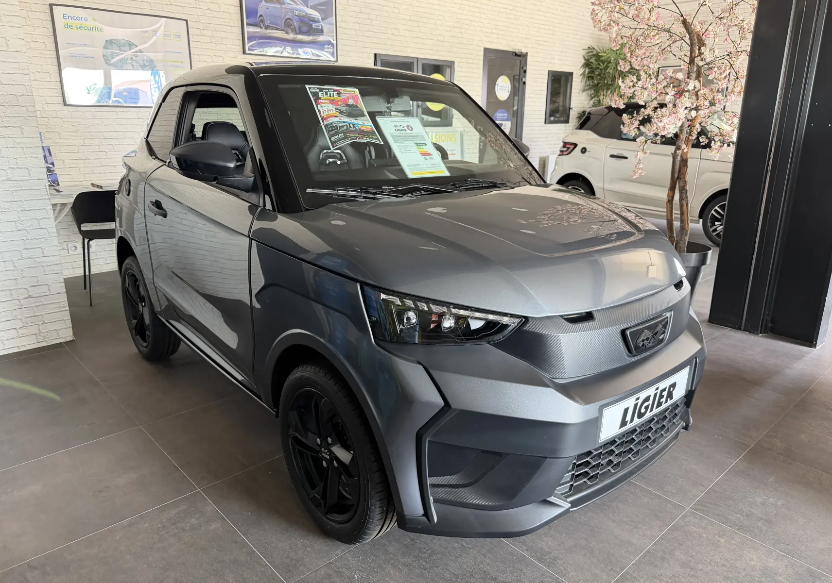 Vue 3/4 avant d'une Ligier JS50 Elite Revo D+ gris graphite avec jantes noires, exposée en showroom lumineux.