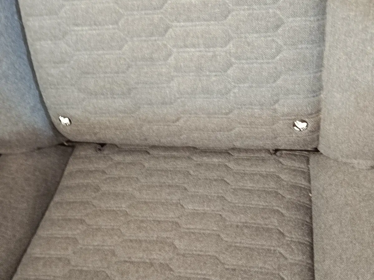 Gros plan sur la banquette arrière grise de la Renault ZOE Zen R135 2021, tissu texturé avec points Isofix visibles.