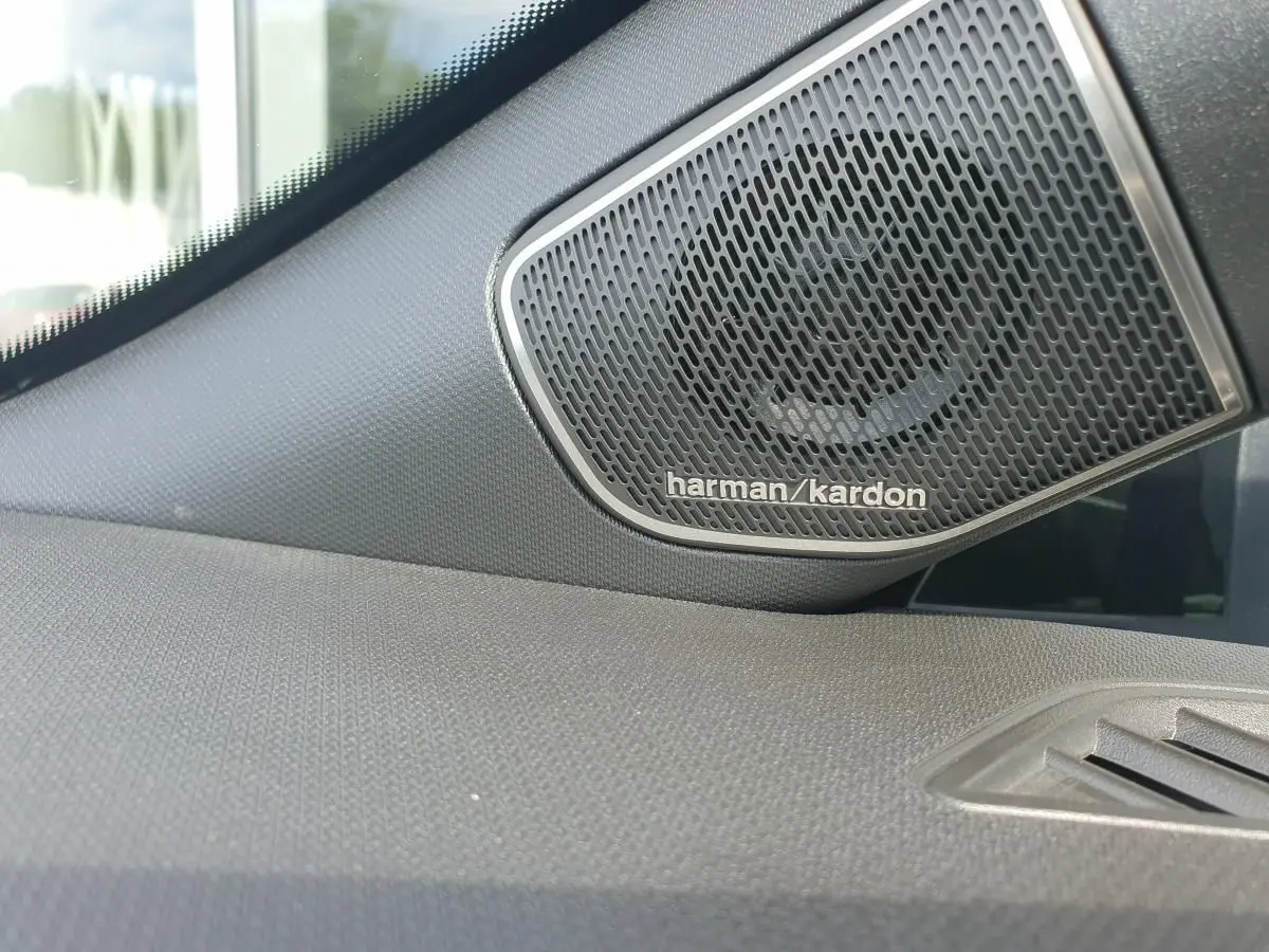 Gros plan sur le haut-parleur Harman Kardon intégré à la porte avant droite de la Renault Clio VI gris Rafale.