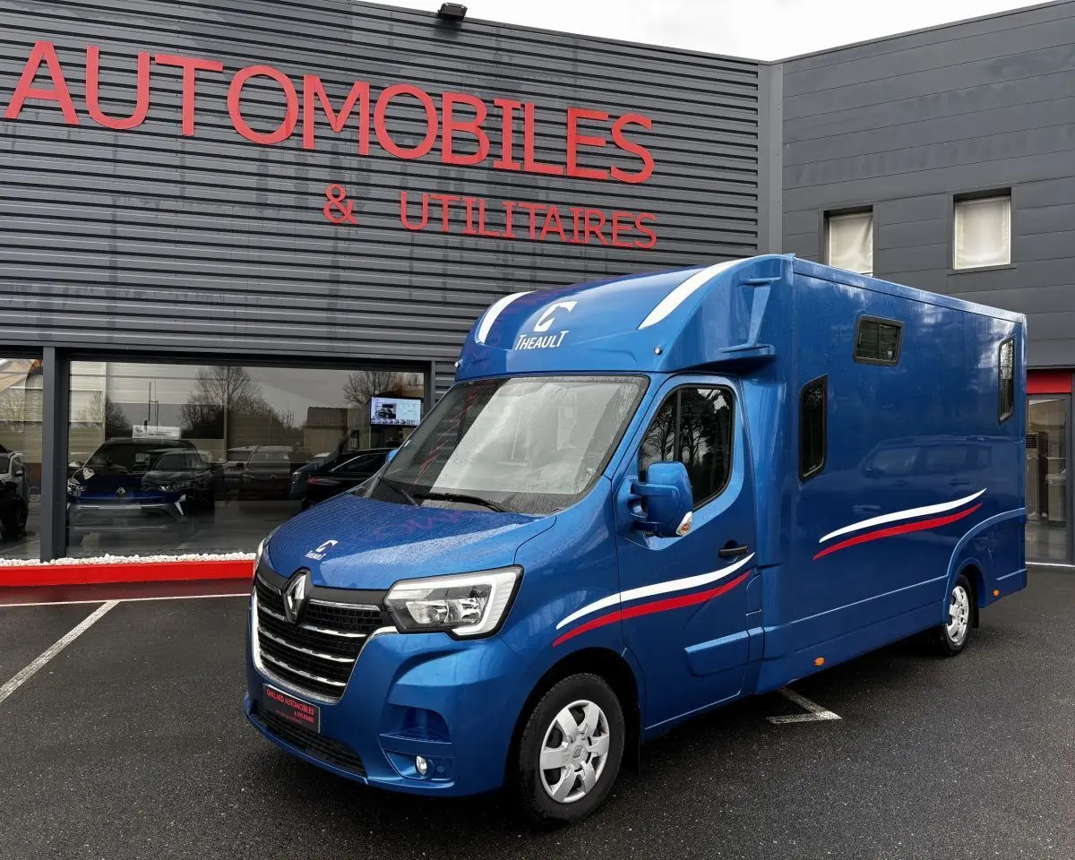 Vue 3/4 avant d’un Renault Master bleu avec décorations tricolores, stationné devant un bâtiment commercial.