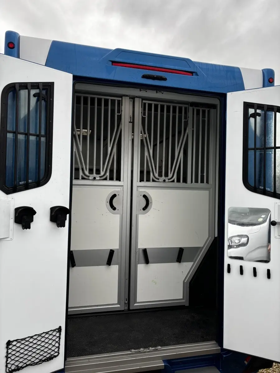 Vue arrière du Renault Master bleu 2020 avec portes ouvertes montrant une cloison intérieure métallique sécurisée.