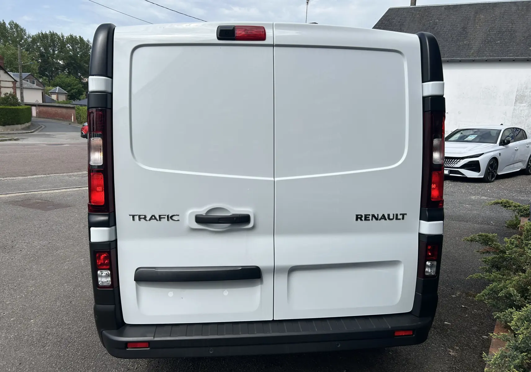 Vue arrière d’un fourgon Renault Trafic blanc avec portes battantes et feux arrière verticaux.