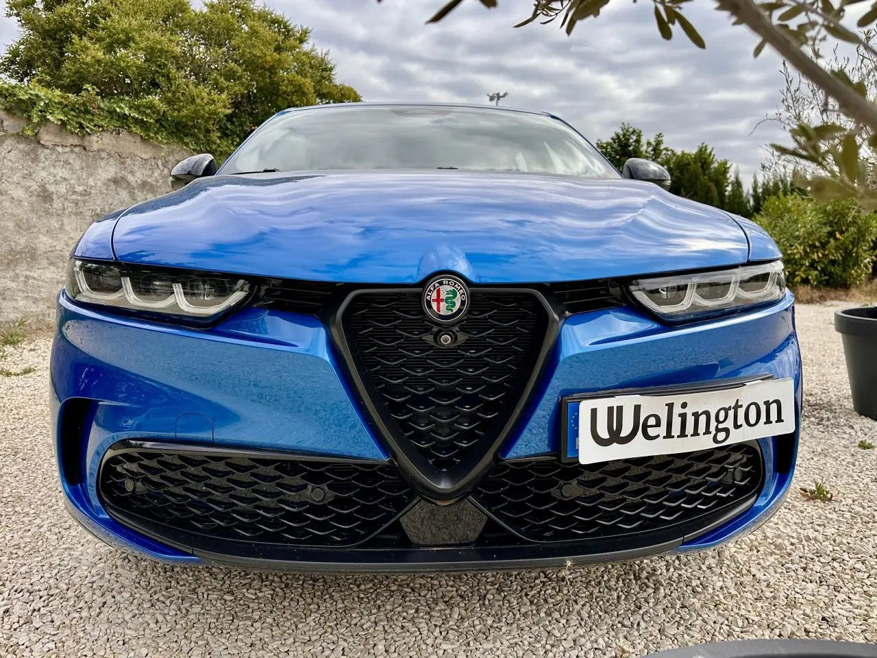 Vue frontale rapprochée de l'Alfa Romeo Tonale 2024 bleu métallisé avec calandre noire et phares LED distinctifs.