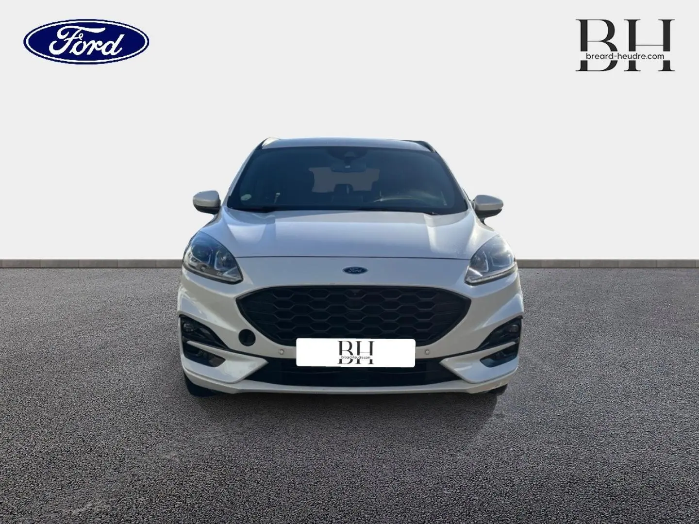 Vue frontale d'un Ford Kuga blanc Premium Platinum avec calandre noire et phares LED distinctifs.