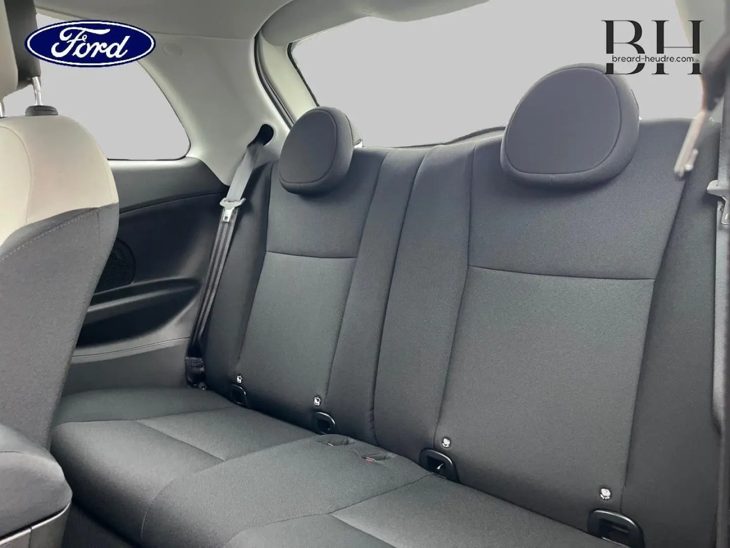Vue intérieure sur la banquette arrière noire d'une Fiat 500 Ice White pastel, avec appuie-tête arrondis et ceinture de sécurité.