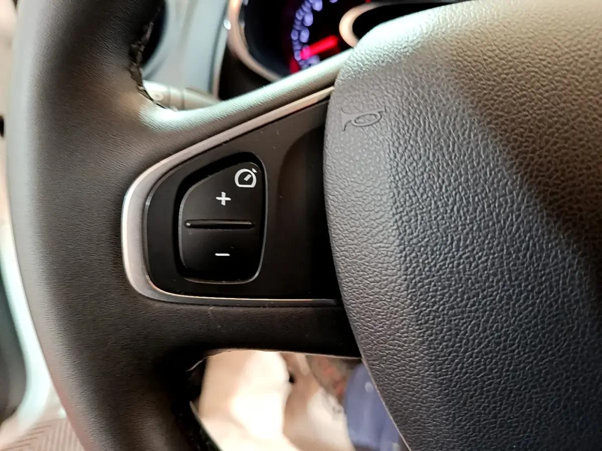 Gros plan sur le volant cuir noir de la Renault Clio Business TCe 90, montrant les commandes de régulateur de vitesse.