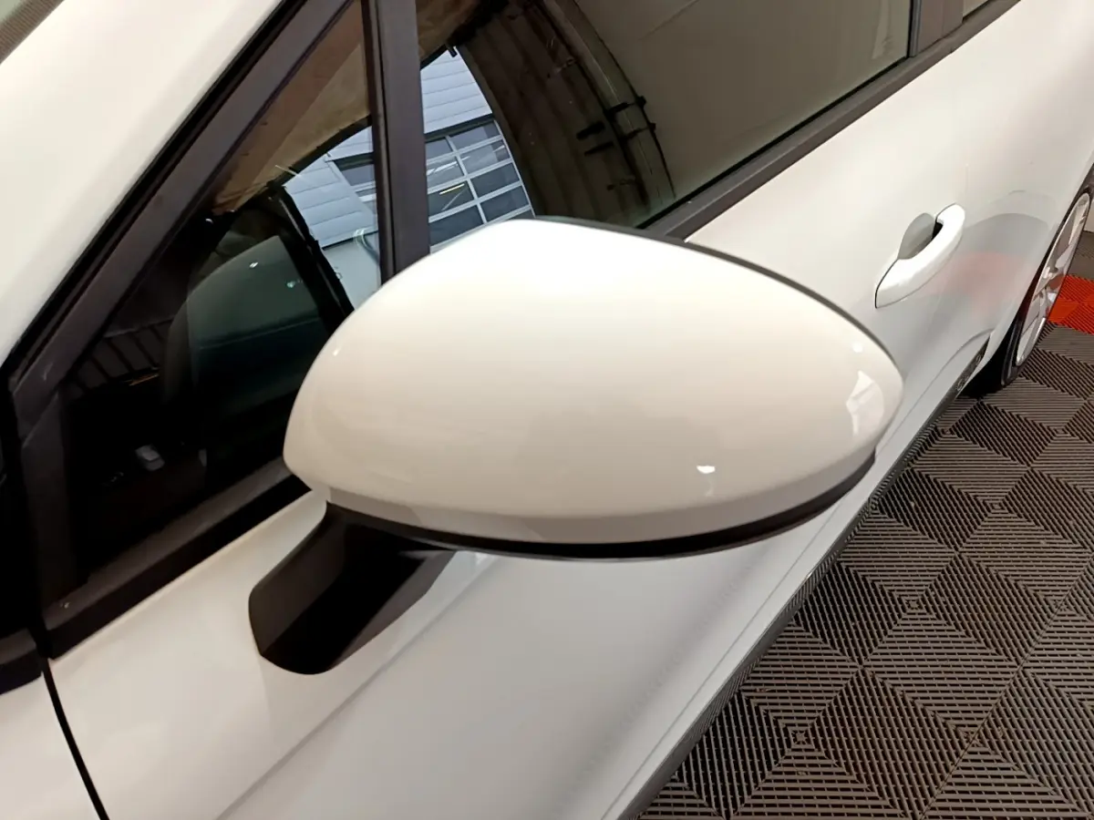 Rétroviseur côté gauche blanc de la Renault Clio Business TCe 100 2020, vue rapprochée sur porte et poignée.