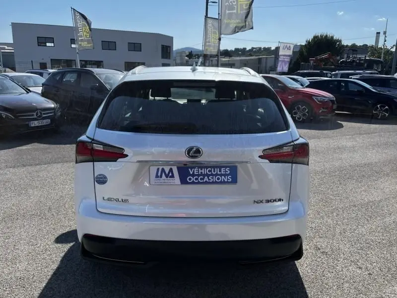 Vue arrière d'un Lexus NX 300H blanc nacré métal, avec logo et plaque "Véhicules Occasions" visible au centre.