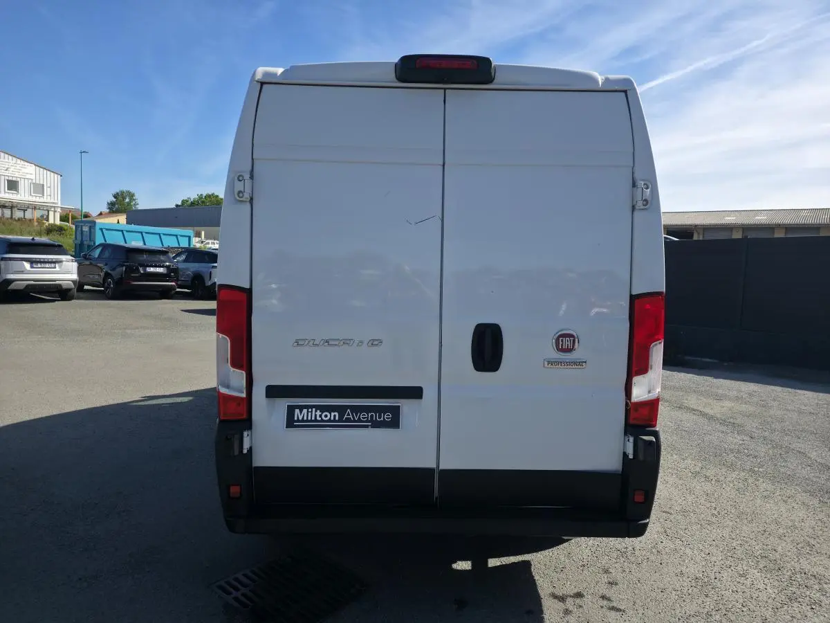 Vue arrière d'un FIAT Ducato Fourgon blanc 2023 avec portes battantes et logo FIAT Professional visible.