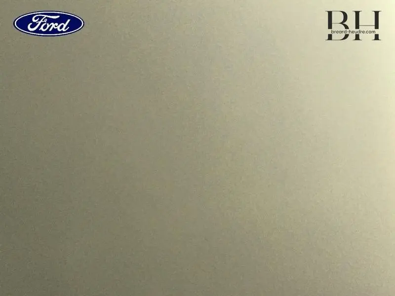 Image ne montrant pas de véhicule, uniquement un fond gris avec un logo Ford en haut à gauche.