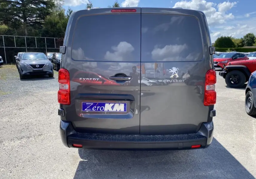 Vue arrière d'un Peugeot Expert Fourgon gris platinium avec portes battantes et logo visible en plein jour.