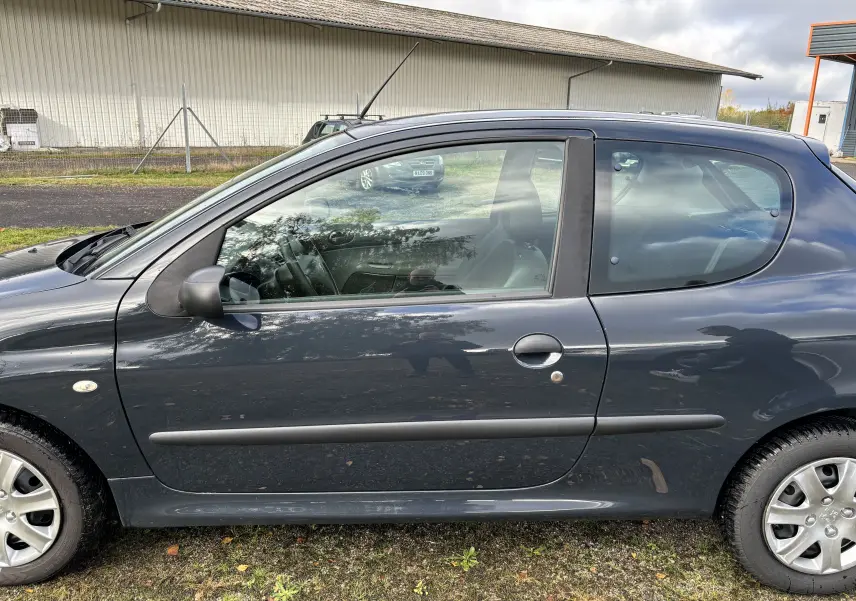 Profil côté gauche d'une Peugeot 206+ gris foncé de 2009, compacte avec poignées et rétroviseurs noirs.