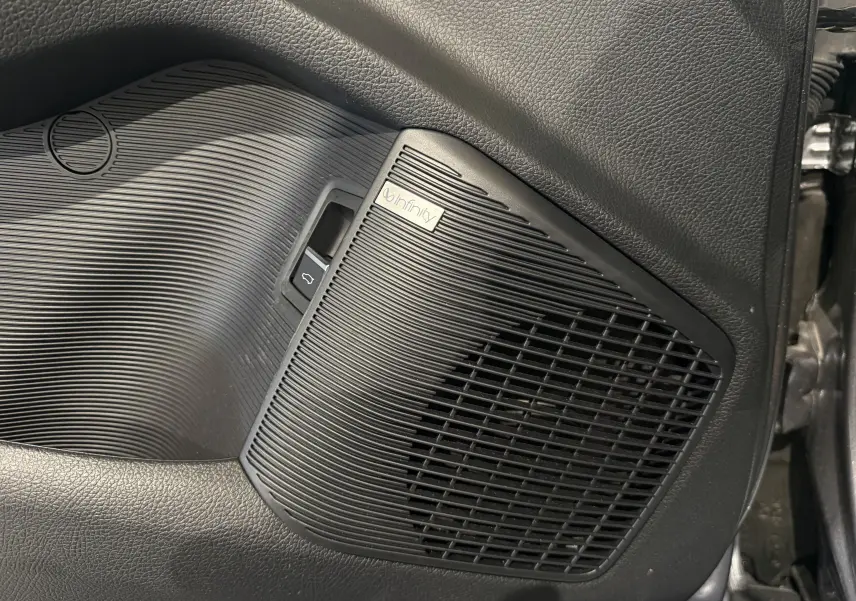 Gros plan sur le haut-parleur Infinity noir intégré à la porte intérieure côté droit du BYD SEAL U gris.