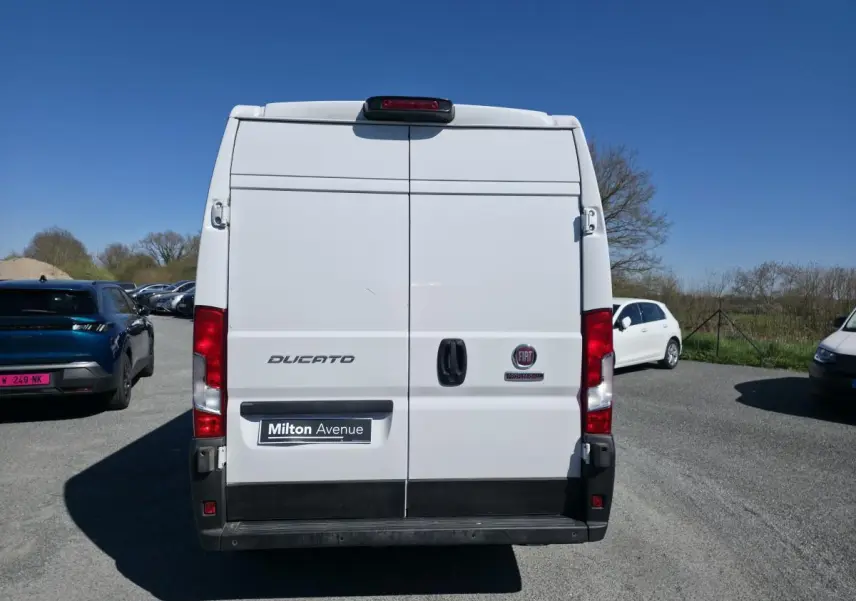 Vue arrière du FIAT Ducato Fourgon blanc, portes battantes fermées, avec logo et plaque Milton Avenue visible.