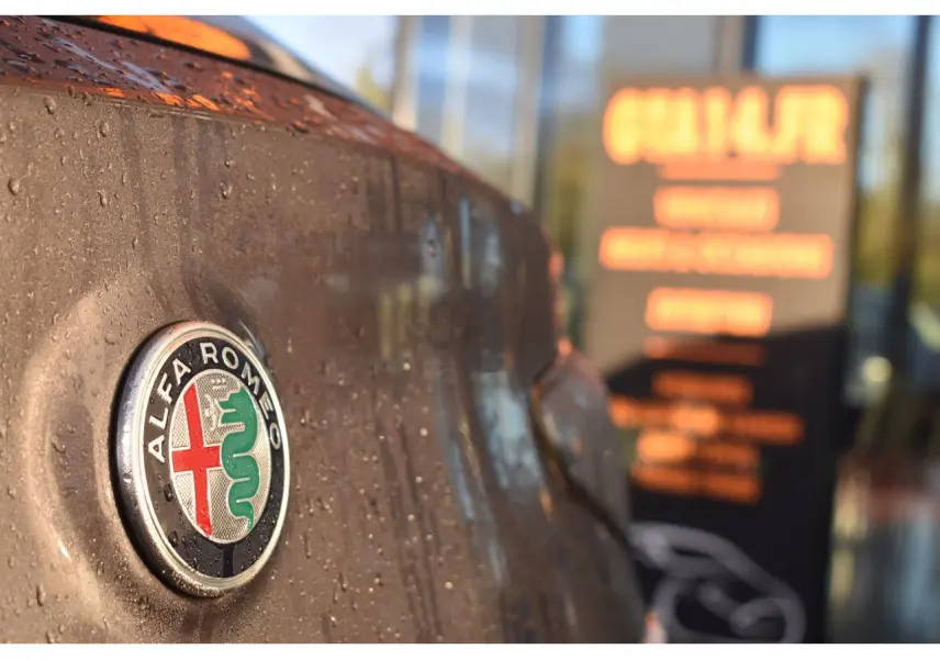 Gros plan sur l'emblème Alfa Romeo sur la calandre d'un Stelvio gris Vesuvio avec gouttes d'eau visibles.