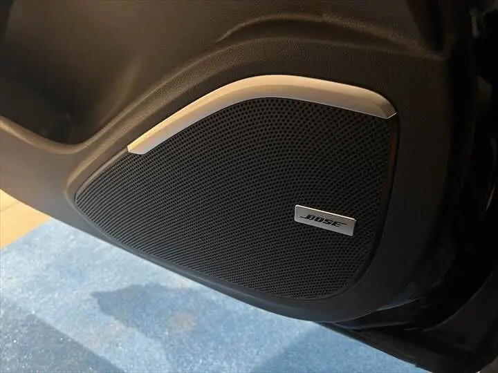 Gros plan sur l'enceinte Bose intégrée à la porte intérieure du Renault Scenic IV noir étoile métal avec toit gris.