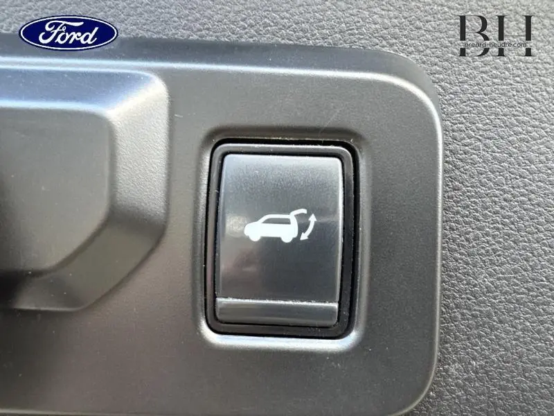 Bouton intérieur noir avec symbole blanc d'ouverture de coffre, vue rapprochée sur panneau de porte.