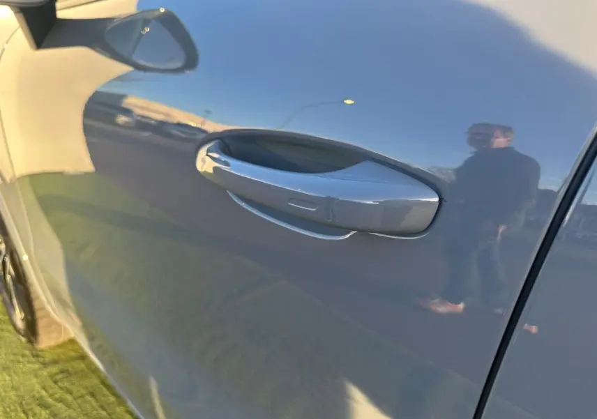 Poignée de porte côté gauche d'un Porsche Cayenne 2024 gris arctique, reflet net sur la carrosserie lisse.