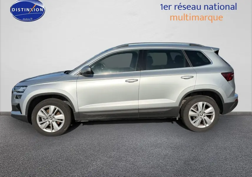 Vue de profil côté gauche d'un Skoda Karoq gris 2025 avec jantes alliage et barres de toit.