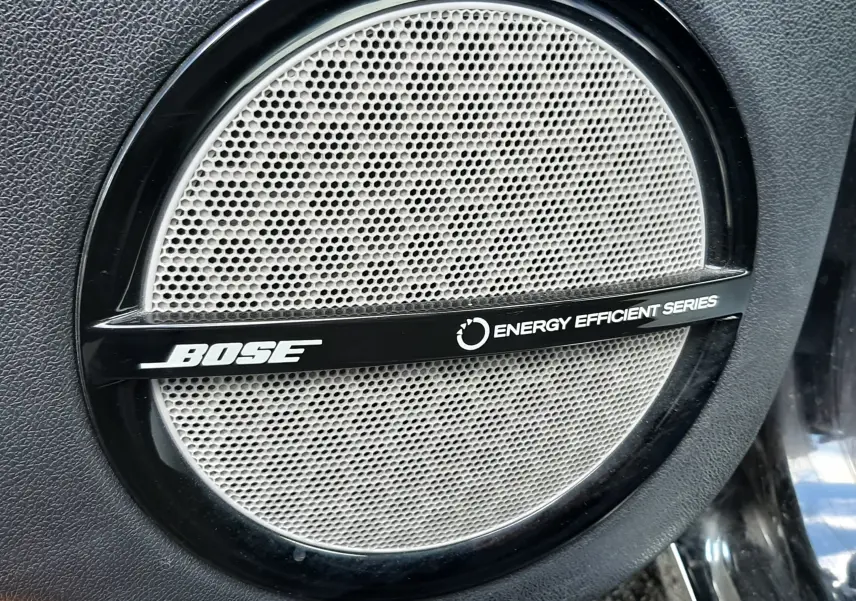 Gros plan sur l'enceinte Bose intégrée dans la porte intérieure noire du Renault Grand Scenic DCI 110 Bose 7 places.