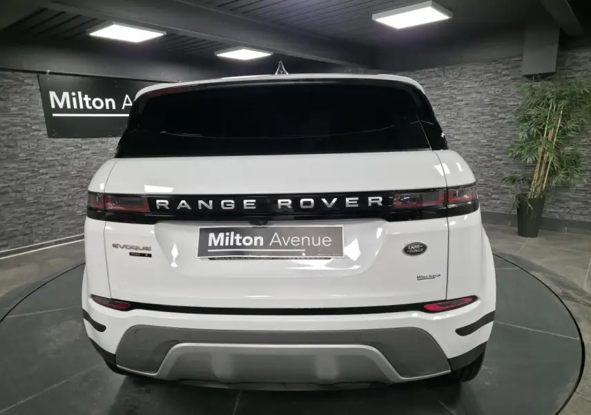 Vue arrière d'un Range Rover Evoque blanc avec logo noir et feux arrière étirés en intérieur showroom.