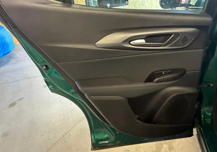 Vue intérieure côté gauche de la porte arrière d'une Alfa Romeo Tonale vert foncé, avec garniture noire et poignée argentée.