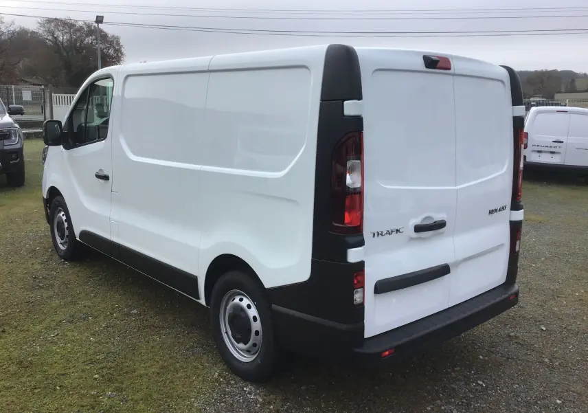 Vue 3/4 arrière droite d’un utilitaire Renault Trafic Fourgon blanc avec portes arrière fermées sur terrain herbeux.