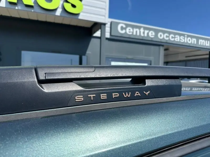 Gros plan sur la barre de toit noire avec logo Stepway sur Dacia Sandero Vert Cèdre métallisé, lumière naturelle.