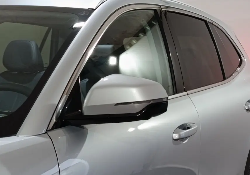 Vue latérale gauche rapprochée du GEELY STARRAY gris clair, mettant en valeur le rétroviseur et les vitres teintées.