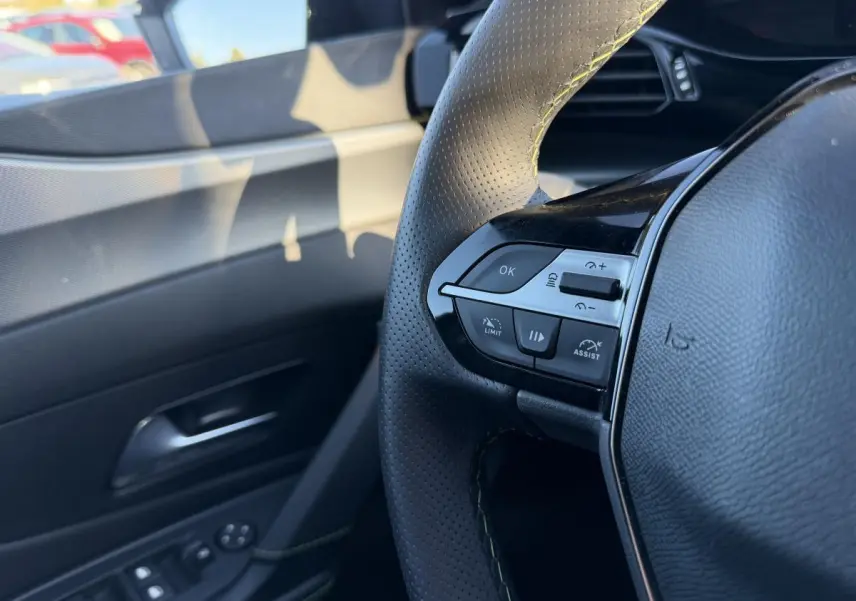 Gros plan sur le volant noir perforé et les commandes de régulateur de vitesse côté gauche, avec porte intérieure noire en arrière-plan.