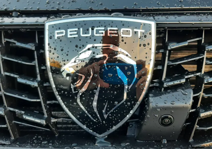 Gros plan frontal sur le logo Peugeot noir perla avec inscription 208 et gouttes d'eau sur la calandre.